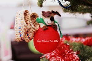 Solas Project, Christmas Fair - 2014