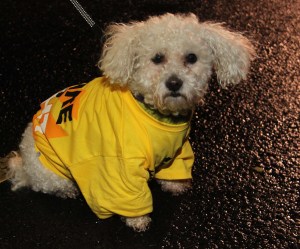 Pieta House, Darkness to Light