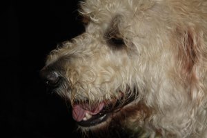 Pieta House, Darkness to Light